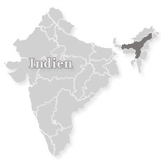 Assam, Indien