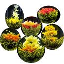 Flowering tea 10 pack