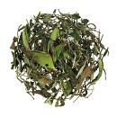 Pai Mu Tan Organic 70 gram