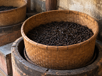 Kinesiskt oolong te Kinesiskt oolong te