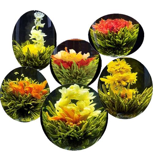 Flowering tea 10 pack
